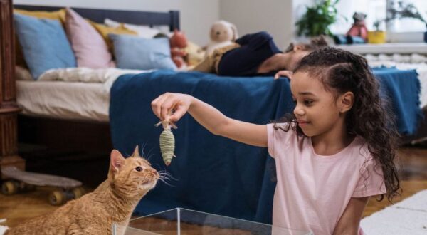 O que observar em áreas comuns com filhos pequenos